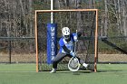 WLAX scrimmage  Women’s Lacrosse inter squad scrimmage. : WLax, Lacrosse, inter squad scrimmage